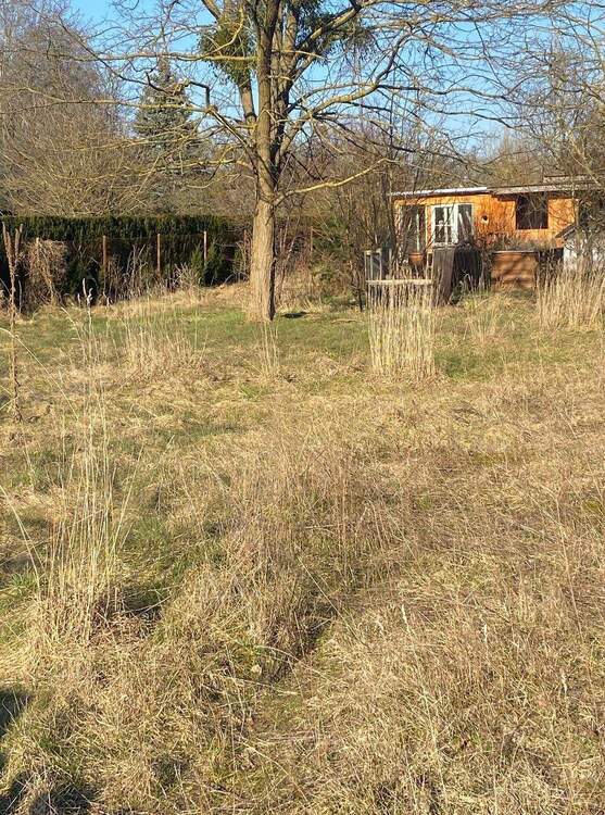 Thumbnail-Platz für Ihre Wohnvision - Baugrundstück in Toplage von Neuenhagen bei Berlin