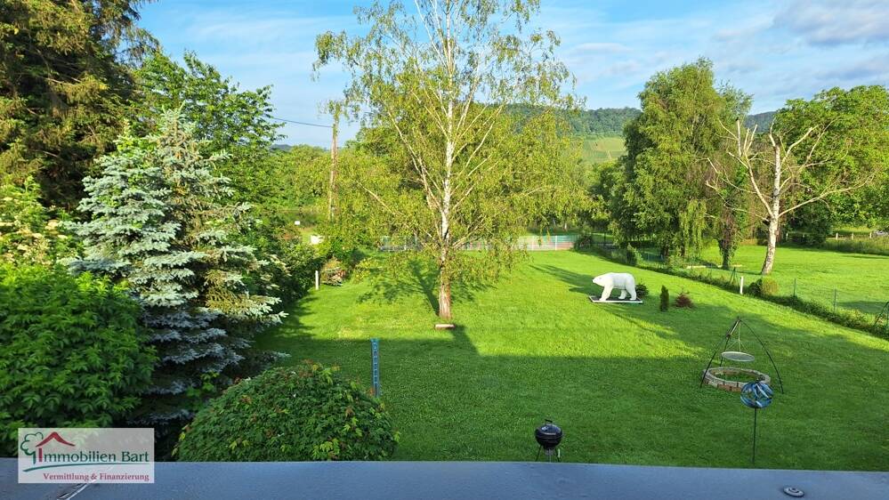 Mosel-Blick