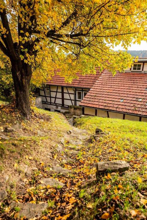 Thumbnail-Rückzugsort und Wohlfühlhof