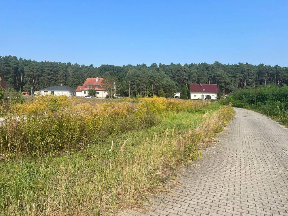 Thumbnail-Baugrundstück in ruhiger Wohnsiedlung in Reichenwalde - PROVISIONSFREI