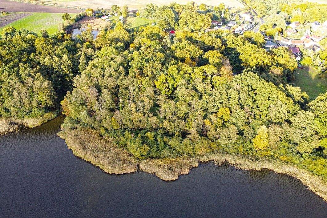 Thumbnail-Großes Waldgrundstück am Großen Schauener See
