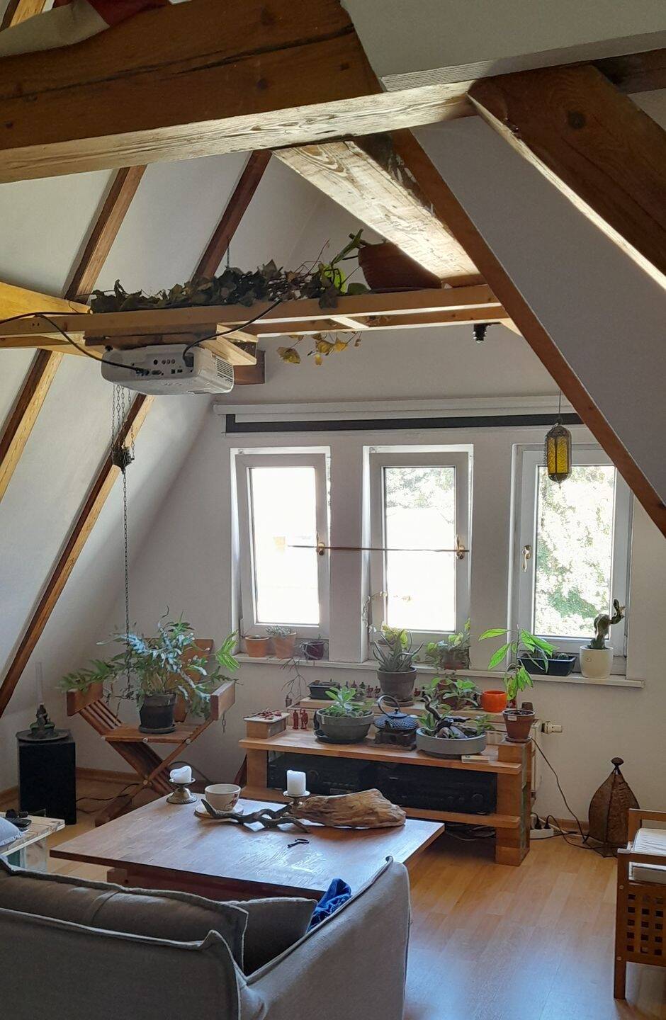 Thumbnail-Gemütliche Dachgeschosswohnung im Zentrum Jenas