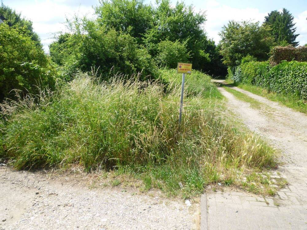 2. Grundstück