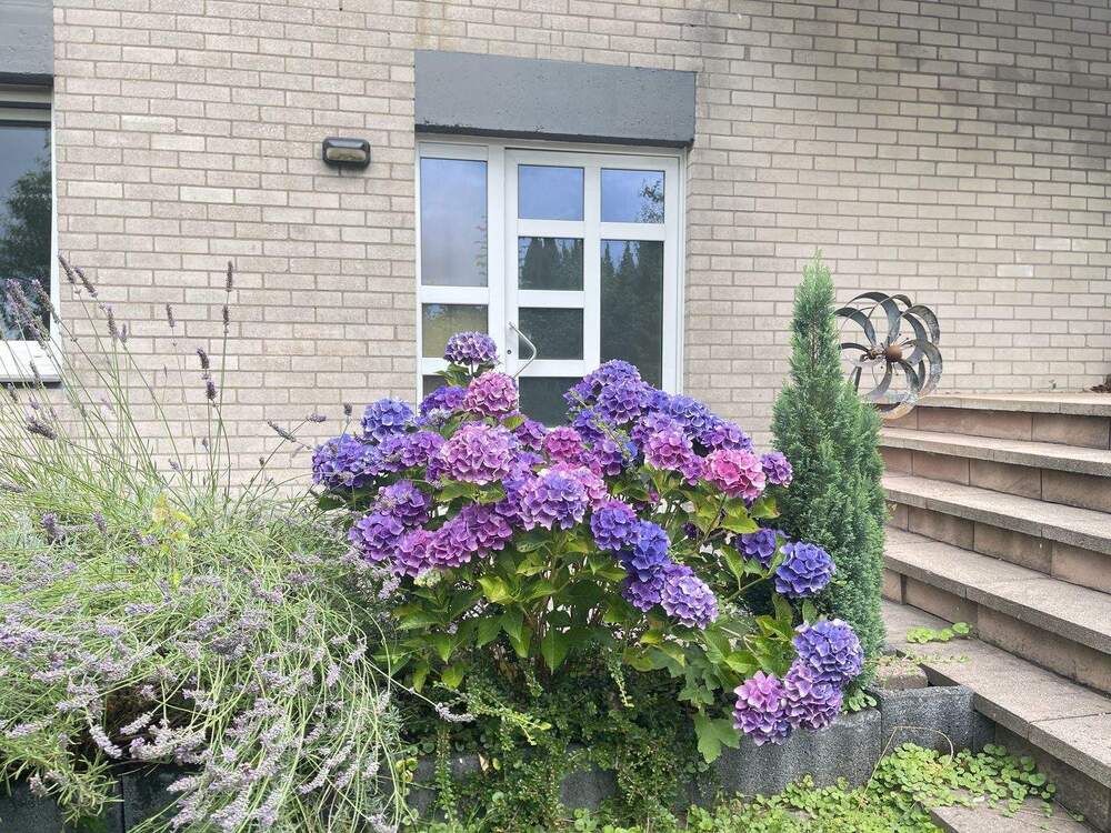 Thumbnail-202603 Familienhaus mit Garten im citynahen Grünen für stilvolles Wohnen auf drei Ebenen