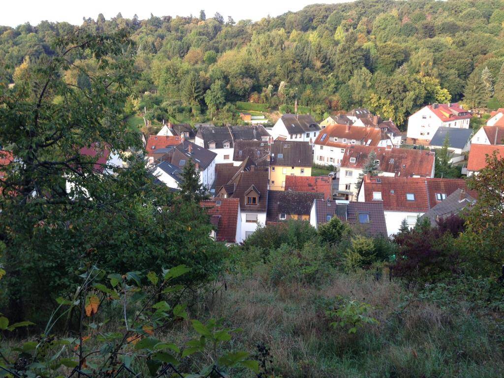Blick auf Frauenstein