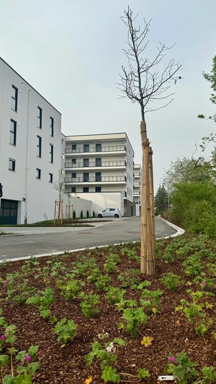 Thumbnail-Neubau-Eigentumswohnungen in 93133 Burglengenfeld in den Spitalgärten teilmöbliert mit Südwest Balkon