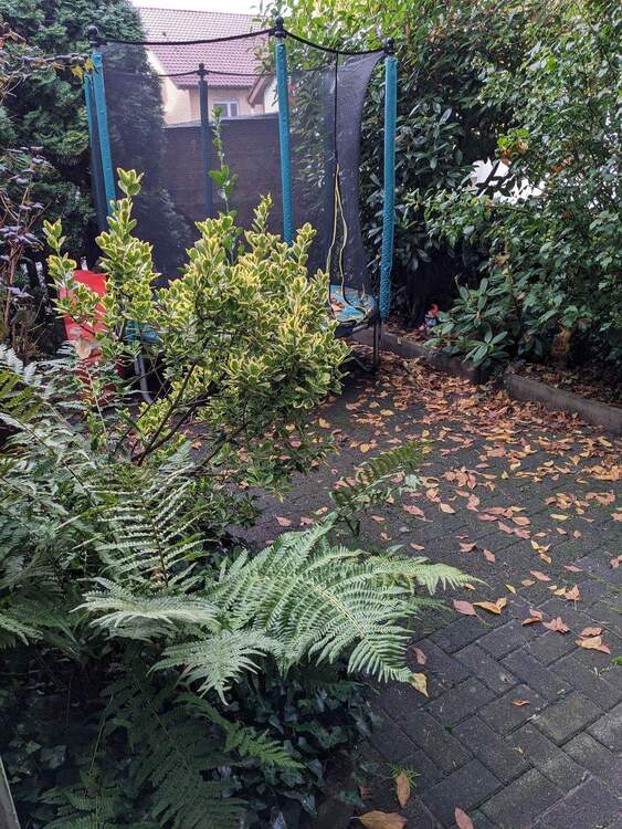 Thumbnail-Vermietetes Wohnhaus in Toplage