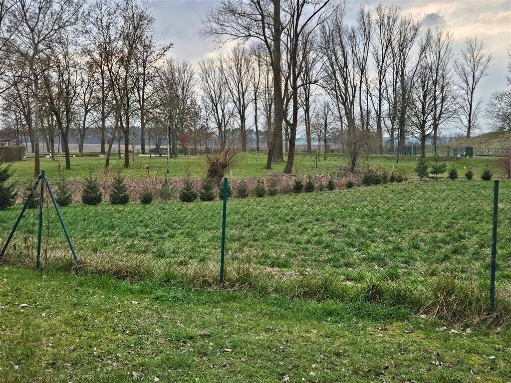 Blick ins Grüne
