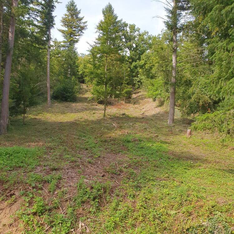 Thumbnail-Kieselbronn Freizeitgrundstück 