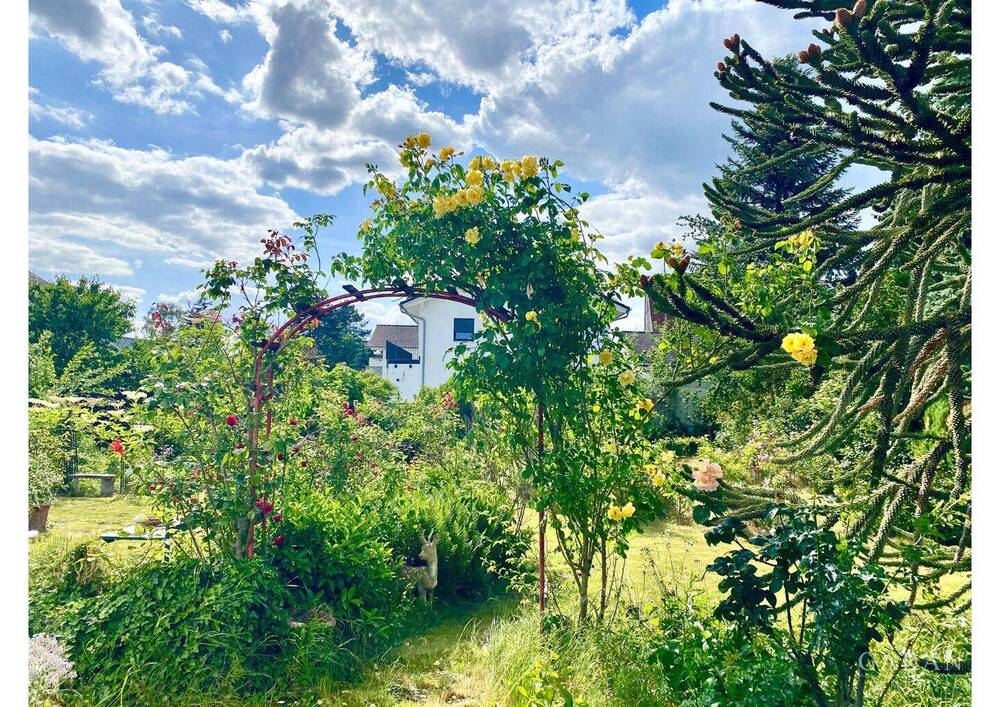 Thumbnail-Freistehendes Einfamilienhaus in begehrter Lage