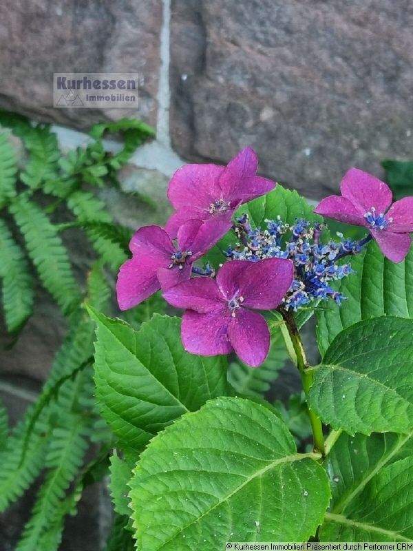 Thumbnail-Herrliches Anwesen mit möglicher Baureserve