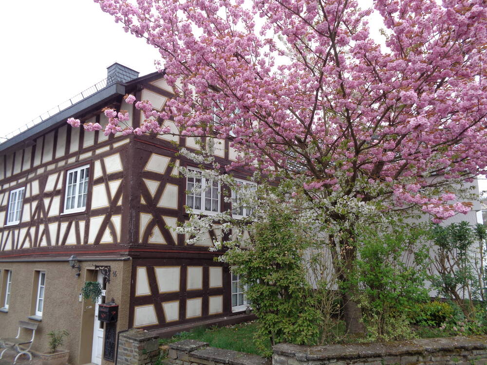 Thumbnail-Fachwerkhaus in Rengsdorf