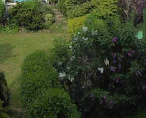 Thumbnail-Vermietete 3-Zimmer-Eigentumswohnung mit Terrasse in Zeulenroda zu verkaufen