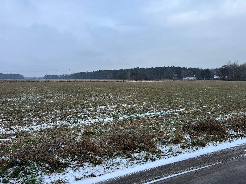 Thumbnail-Traumgrundstück in Briesen-Blick ins Grüne