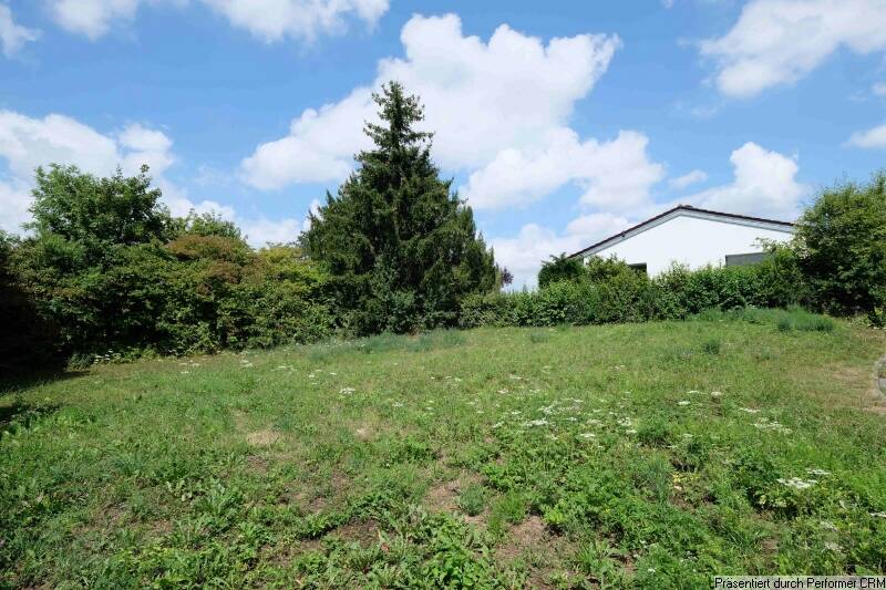 Bauplatz Blickrichtung Nord