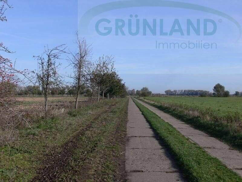Thumbnail-*Landwirtschaftliche Grünland-Flächen zu verkaufen!*