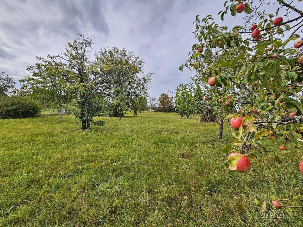 rote Äpfel inbegriffen