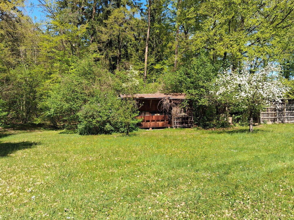 Thumbnail-Großzügiges Haus im Grünen - vielseitig nutzbar, kurzfristig verfügbar | 659.000 €