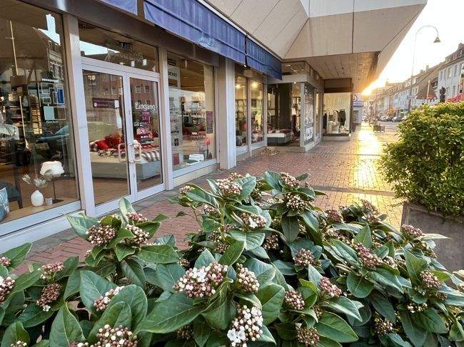 Thumbnail-Downtown: Schaufenster in Rodenkirchen