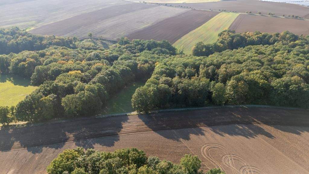 Thumbnail-Laubholzflächen in Lindau