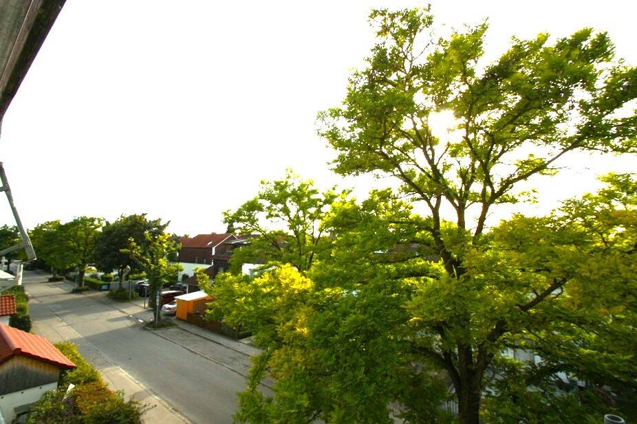 Ausblick vom Balkon