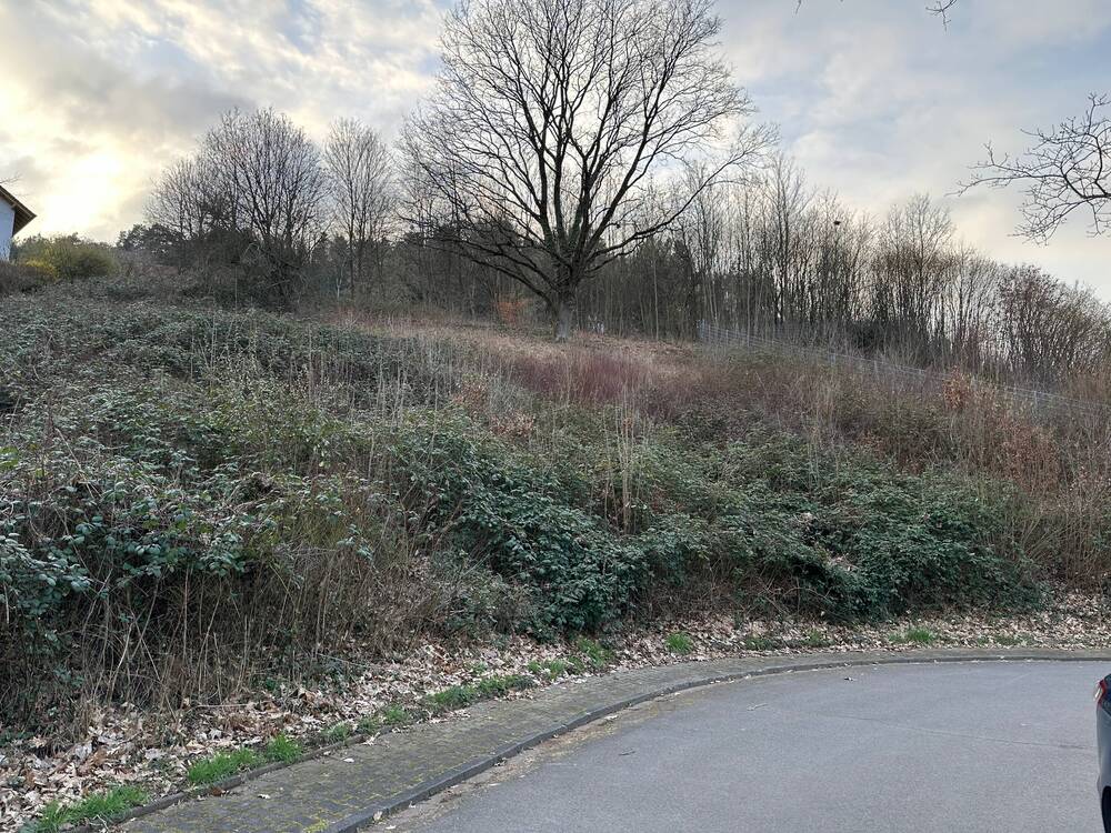 Thumbnail-Traumhaftes Hanggrundstück in idyllischer ländlicher Lage