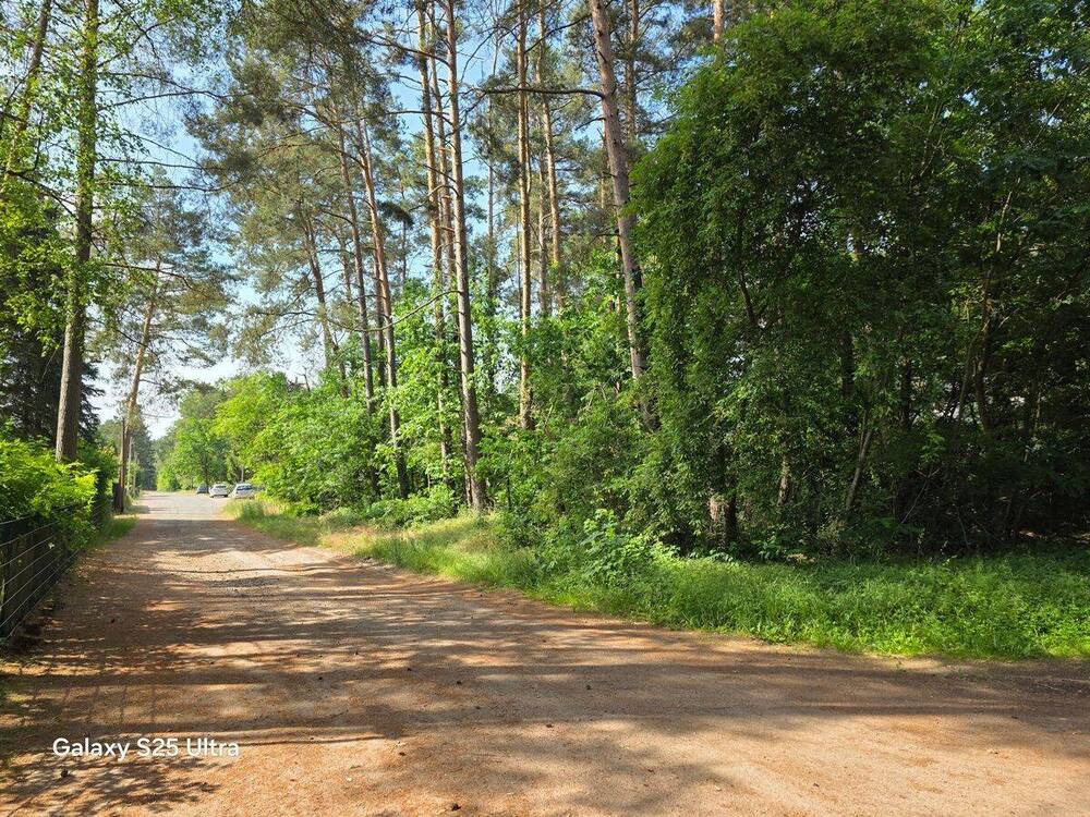 Thumbnail-Ein teilbares Baugrundstück in der Waldgemeinde Borkheide