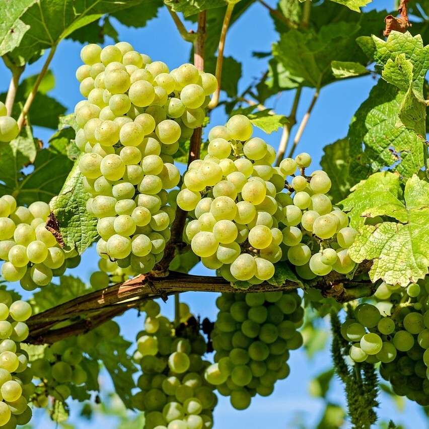 Thumbnail-Sonnige Landliebe-Wohnung