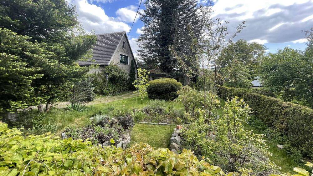 Thumbnail-Familientraum in Elstra