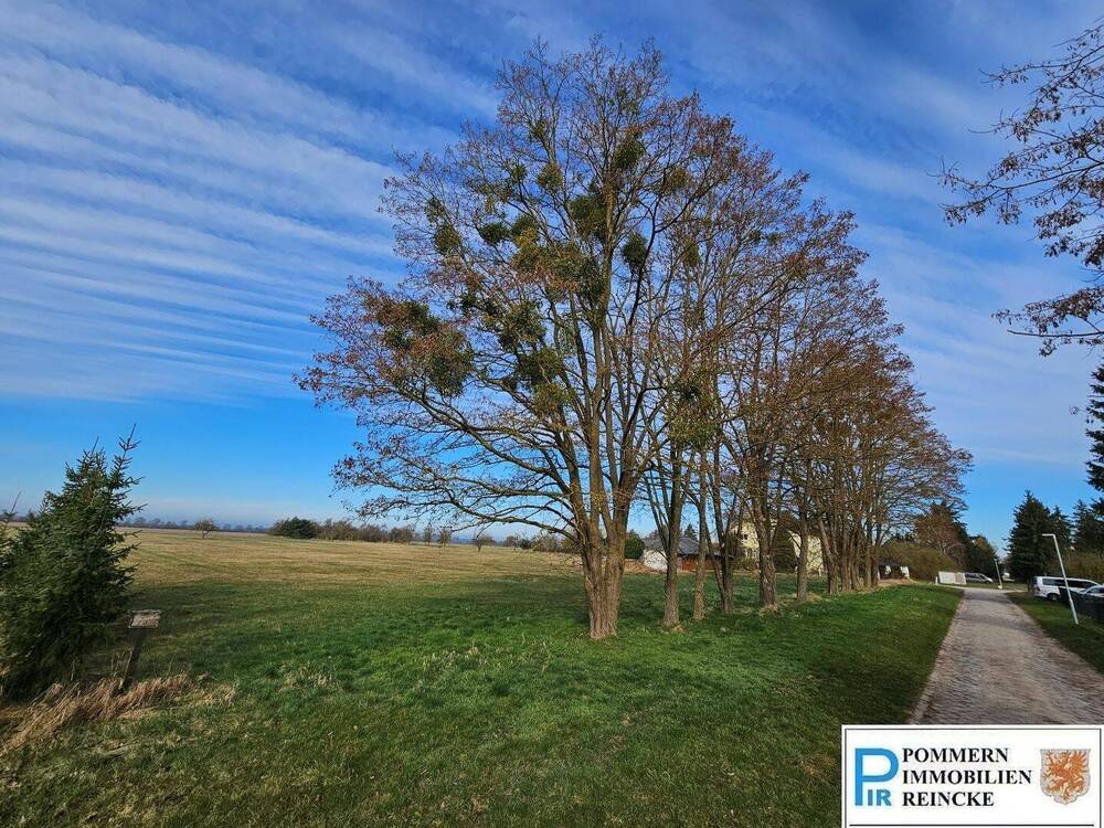 Thumbnail-Ca.1,4 ha am südlichen Dorfrand!