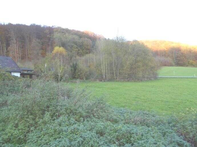 Thumbnail-Beverungen - Grundstücke Im Roggenthal