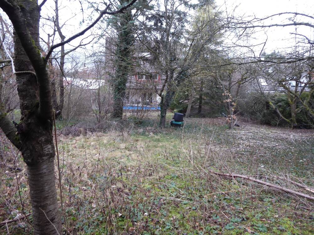 Gartenansicht