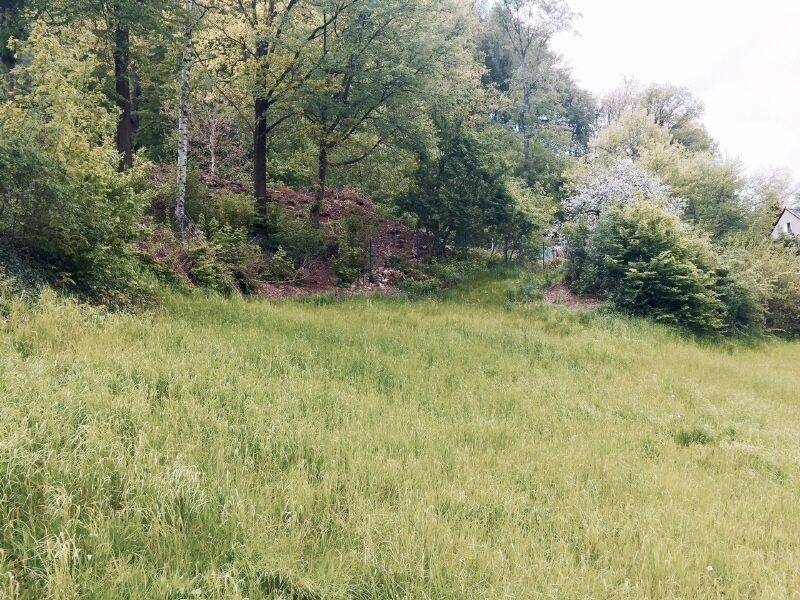 Thumbnail-Grundstück mit Baugenehmigung für EFH in Tharandt