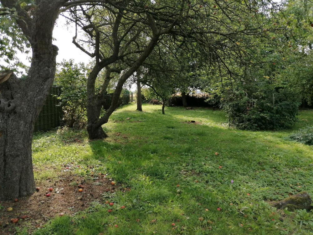 Thumbnail-Idyllisches Baugrundstück in Kühlungsborn - Exklusiver vorderer Grundstücksbereich