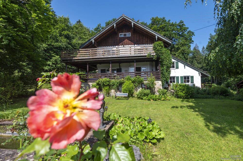 Der Waldhof