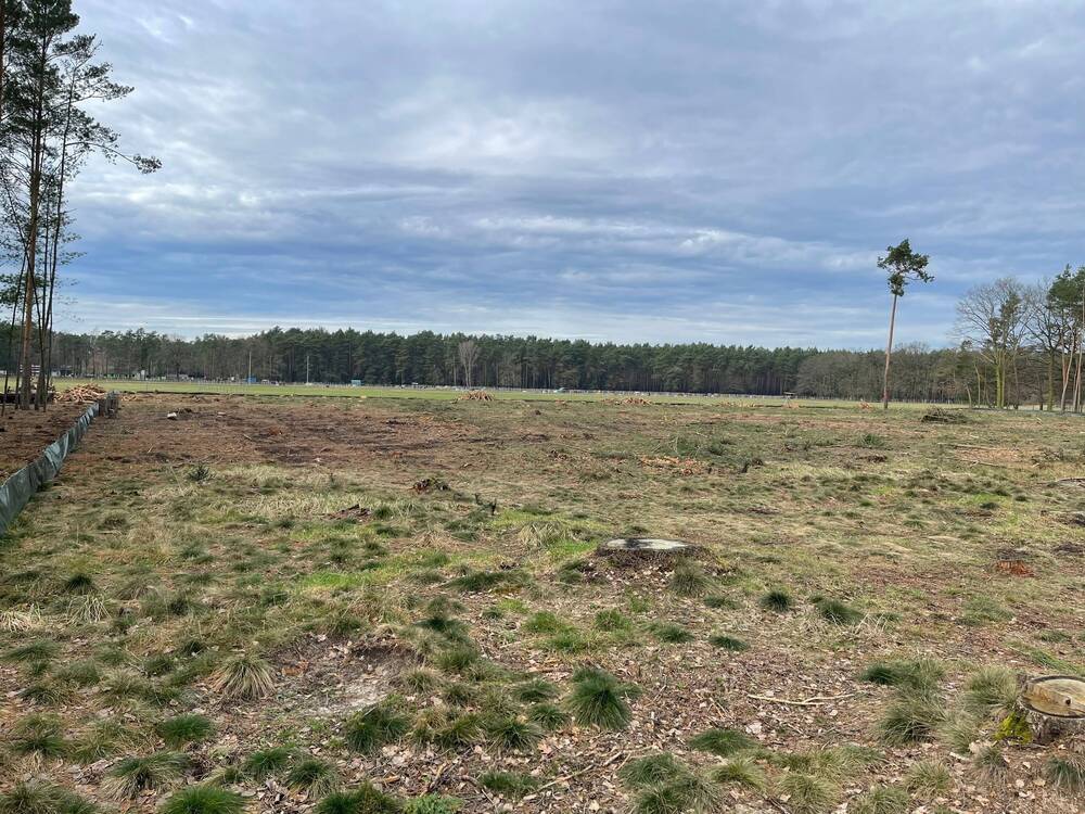 Thumbnail-Wohnen im Stadtteil Sielow