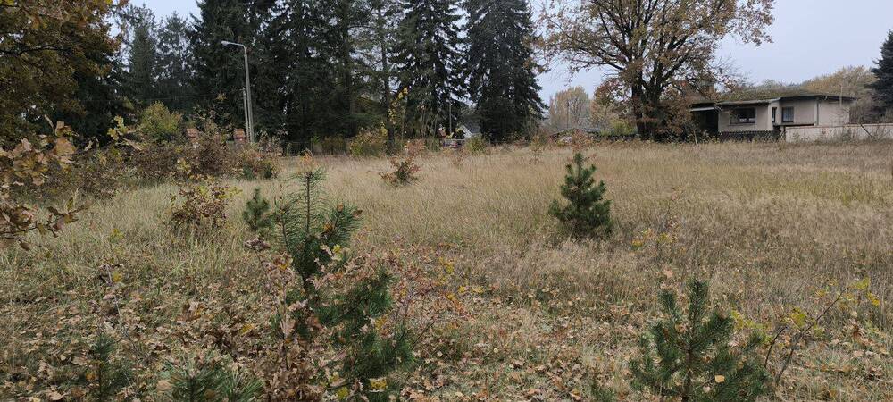 Thumbnail-Großzügiges Baugrundstück in Heidesee: Ihr Traum vom naturnahen Wohnen nahe Berlin