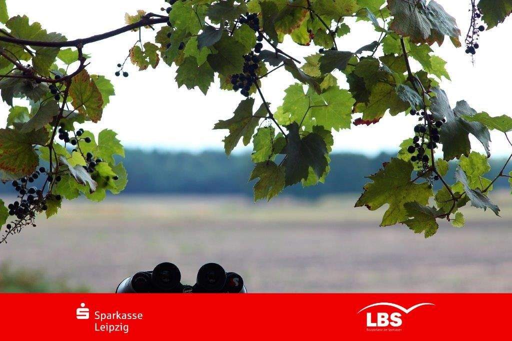 Thumbnail-Das Zuhause für Ihre Träume