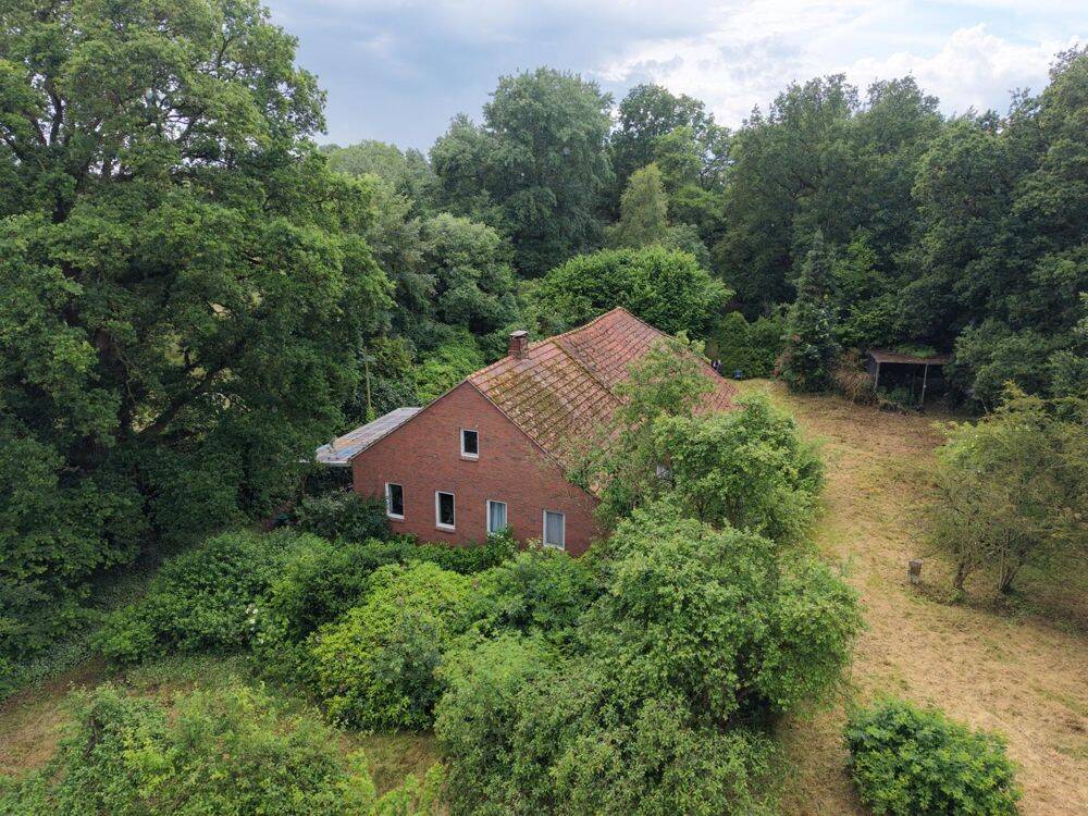 Thumbnail-*Landhausidylle auf 2,74 ha in Burlage - Ihr Rückzugsort im Grünen*