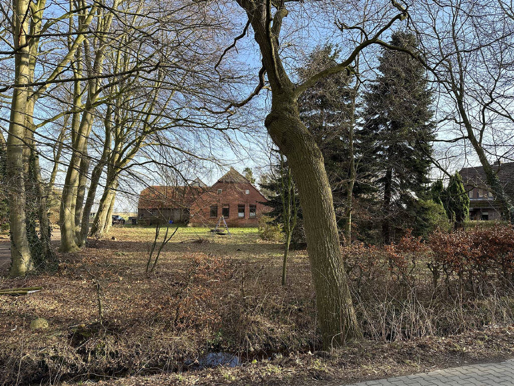 Bild1