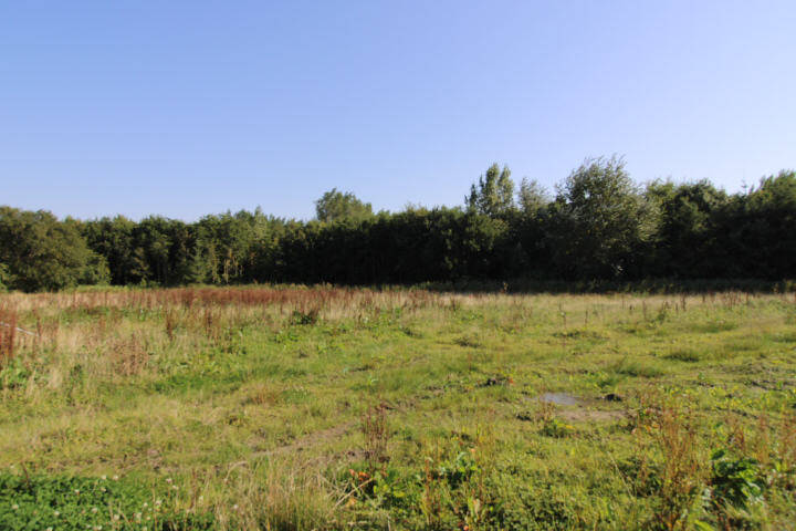 Bild1