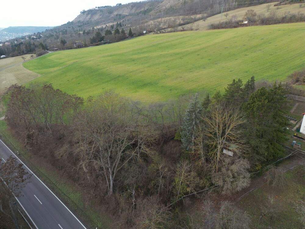 Thumbnail-Freizeitgrundstück an der Eisenberger Straße sucht neuen Eigentümer