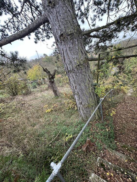 Gartengrundstück