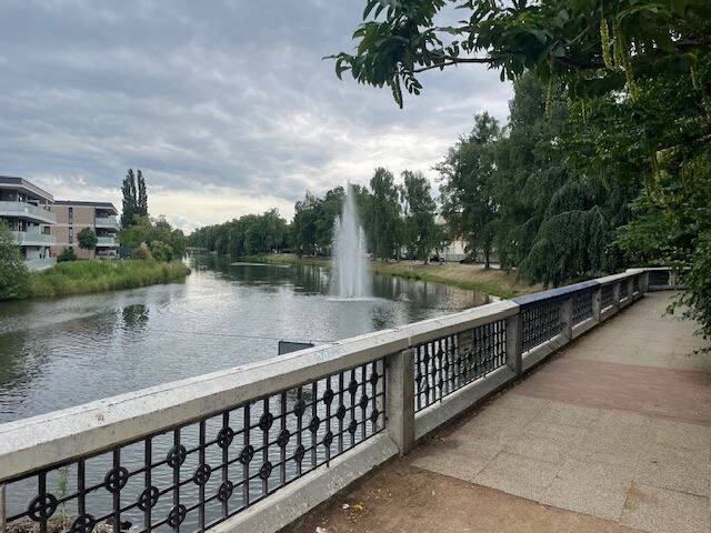 Werreufer in der Nähe