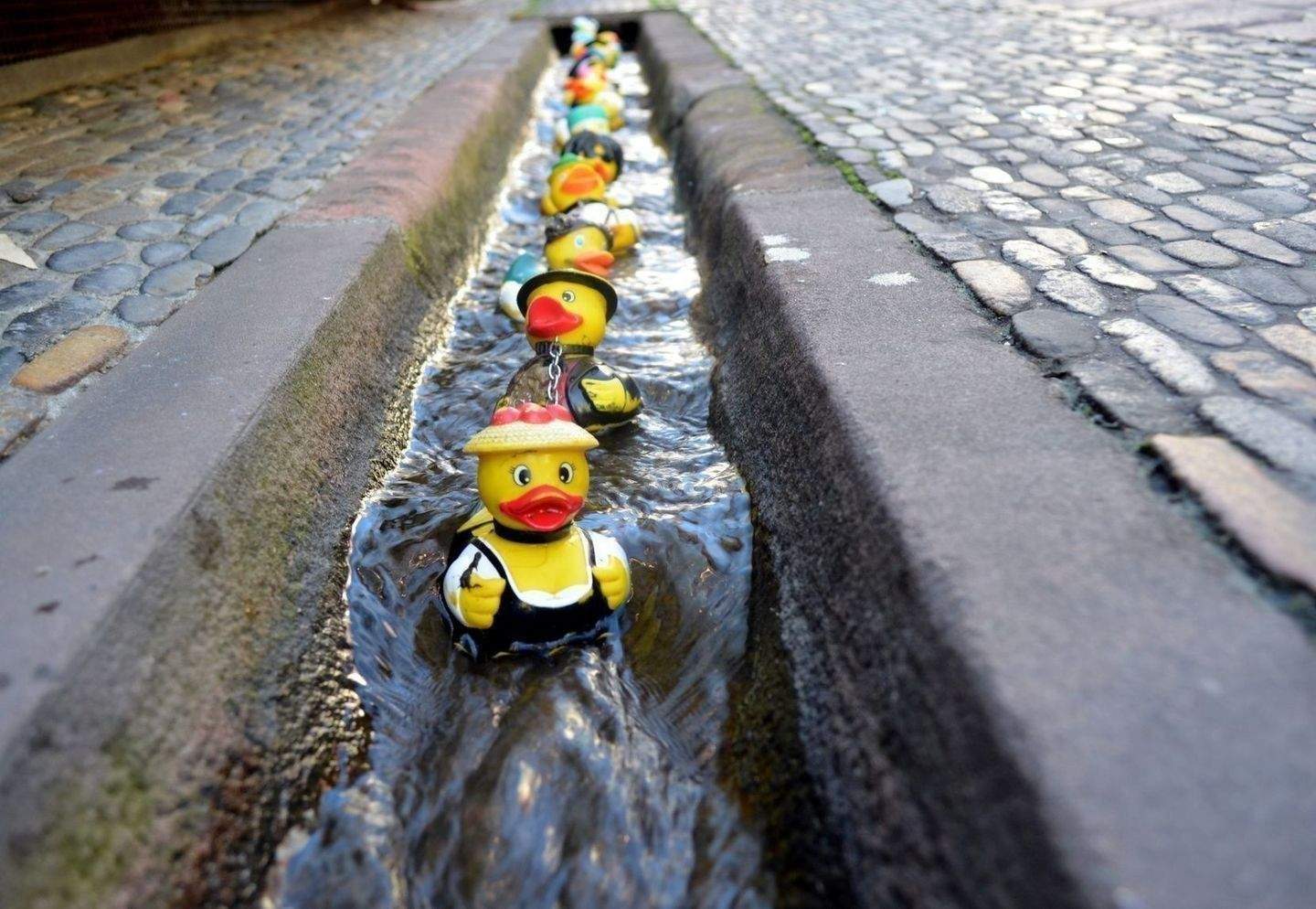 Thumbnail-Ruhiges Wohnen in Freiburg St. Georgen 1,5 Zimmer Wohnung