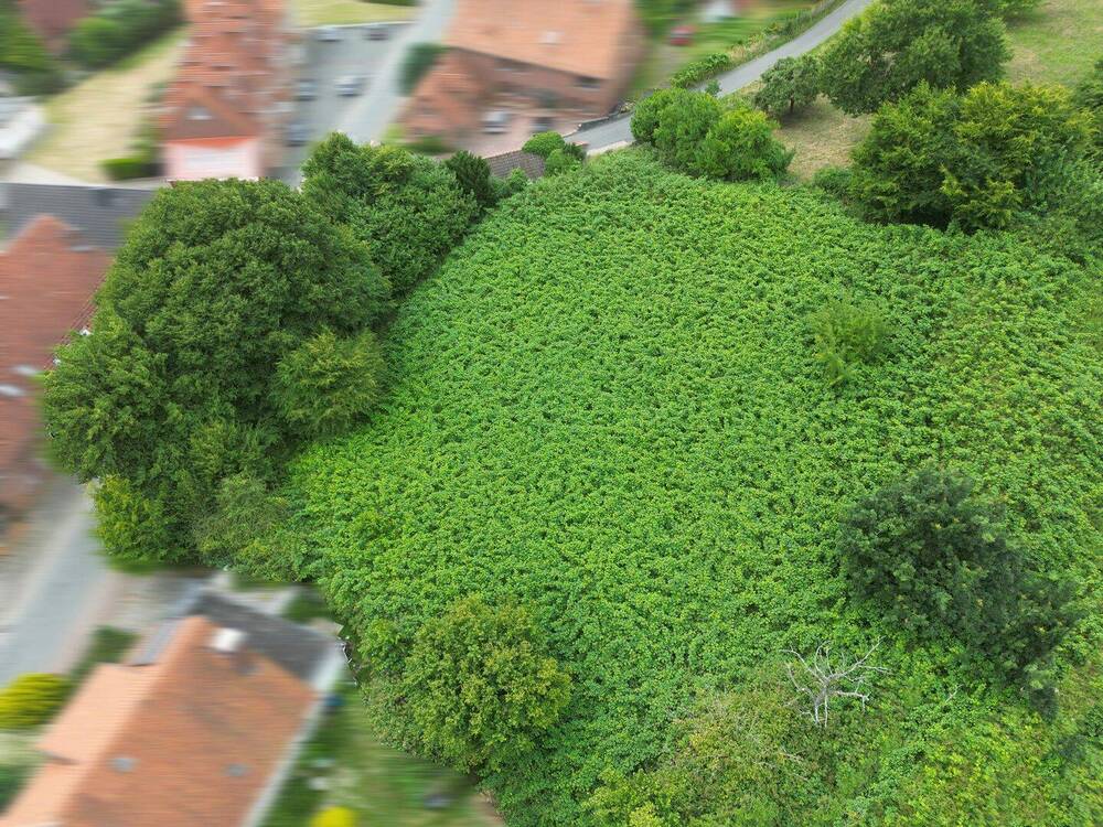 Thumbnail-Individuell bauen in familienfreundlicher Umgebung!