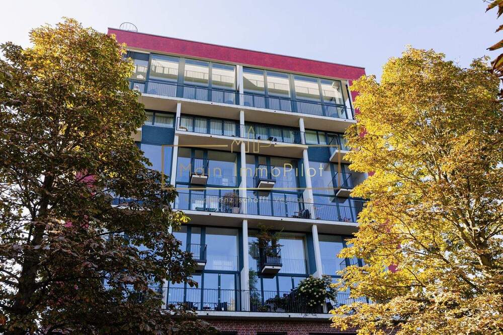 Moderne Architektur am grünen Mainufer
