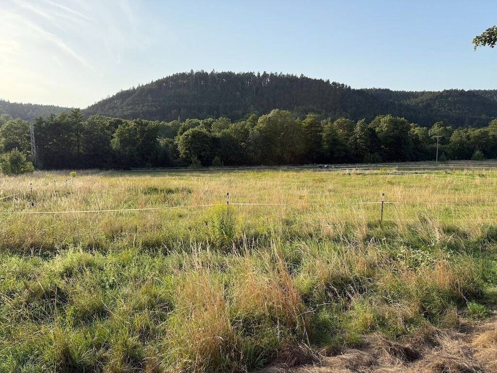 Thumbnail-Riesen Bauplatz für zwei Häuser