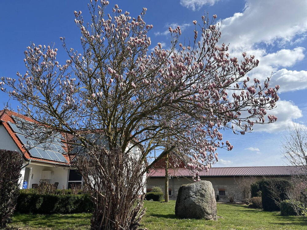 Thumbnail-Einfamilienhaus auf großem Grundstück