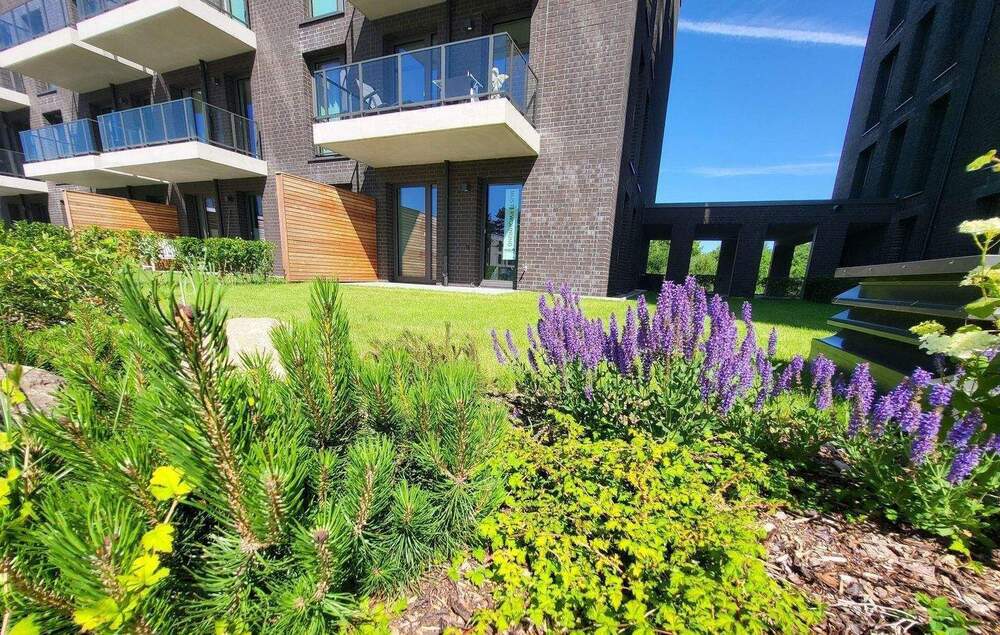 Thumbnail-Terrassenwohnung direkt an der Schlei!